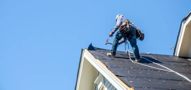 Best Storm Damage Roof Repair  in Lemmon, SD